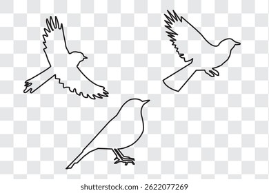 Set of black bird silhouettes. Vector elements for design fly illustration sign collection. nature symbol.