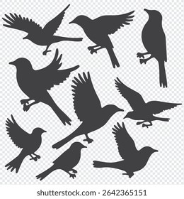 Set of black bird silhouettes. Vector elements for designfly illustration sign collection. nature symbol.
