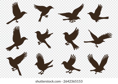 Set of black bird silhouettes. Vector elements for designfly illustration sign collection. nature symbol.