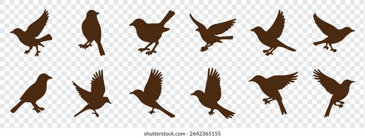 Set of black bird silhouettes. Vector elements for designfly illustration sign collection. nature symbol.