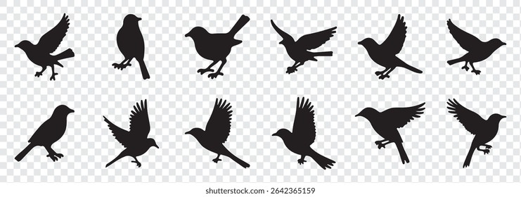 Set of black bird silhouettes. Vector elements for designfly illustration sign collection. nature symbol.