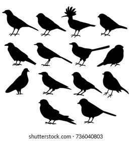set of black birds
