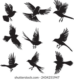 Set of black birds silhouette on white background
