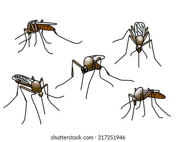 Set of black biting mosquitoes isolated on white