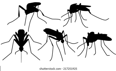 Conjunto de silueta de mosquitos mordidos negros aislados en blanco
