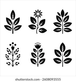Set of Black Botanical Herb Silhouettes  Vector Leaf and Plant Icons