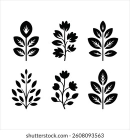 Set of Black Botanical Herb Silhouettes  Vector Leaf and Plant Icons