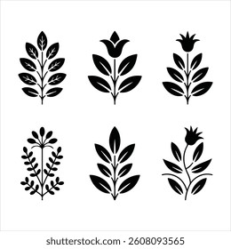 Set of Black Botanical Herb Silhouettes  Vector Leaf and Plant Icons