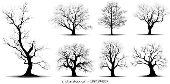 Setzen Sie schwarze Branchentreppe oder nackte Bäume Silhouetten. Handgezeichnete einzelne Illustrationen.