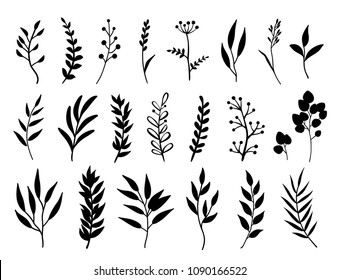 set of black branches and herbs