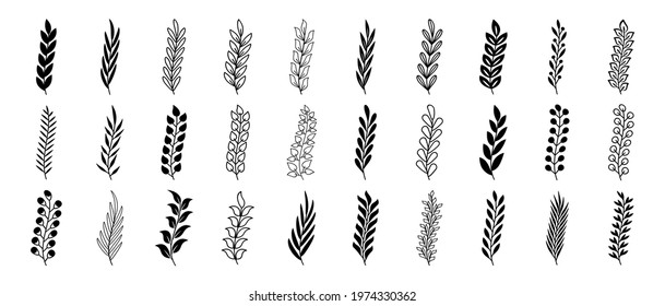Set of black branches with leaves. Hand drawing tree branches. Herbs, flowers and plants elements. Laurels wreaths, swirls, twigs and flower ornaments. Vintage decorative elements.