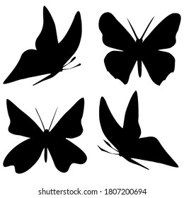 Set of black butterflies in sketch style on white background. Vector illustration isolated sign set. Butterfly outline on white background for decoration design.