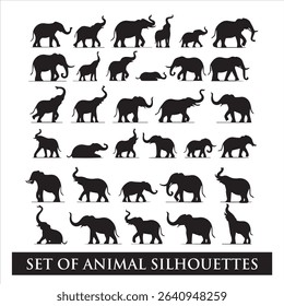 Set of black cat, horse, birds, elephant, butterfly, tiger ,lion, animal silhouettes.
