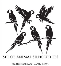 Set of black cat, horse, birds, elephant, butterfly, tiger ,lion, animal silhouettes.