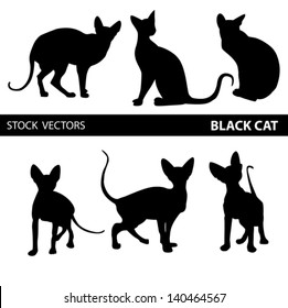 Set black cat silhouette. vector