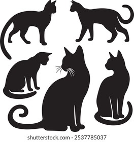 conjunto de preto gato silhueta vetor arte ilustração isolado no fundo transparente