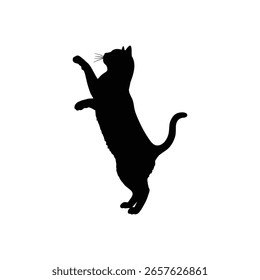 Conjunto de silhuetas de gato preto.