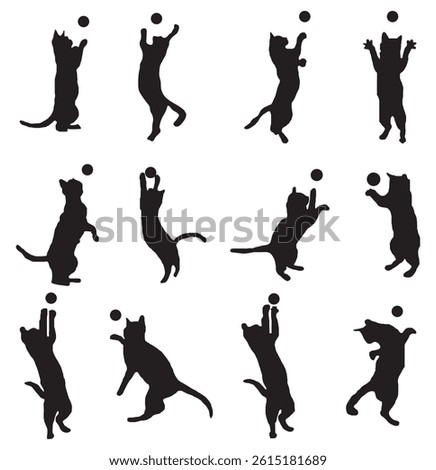 Set of black cat silhouettes. Stencil for Halloween, card, poster or other design. Black cat.