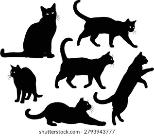 Set of black cat silhouettes in various postures with silhouette collection activity movement stretching