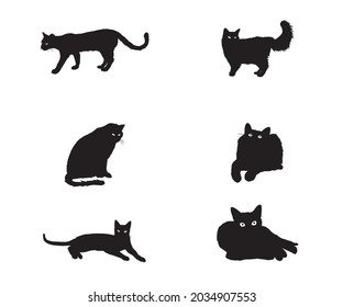 conjunto de gatos negros