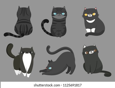 Set of black cats with different breeds in different poses on grey background. Vector illustration character design. 