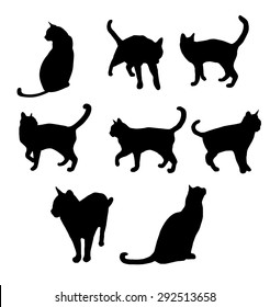 Set of black cat's silhouette. Vector illustration 