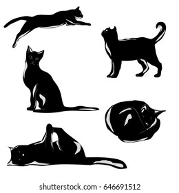 Set of black cat's silhouette. Vector illustration