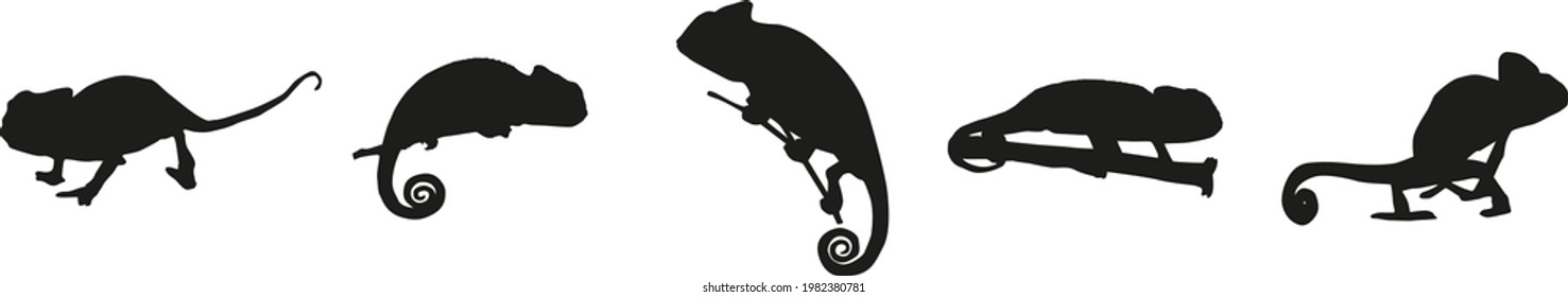 set of black chameleon silhouettes