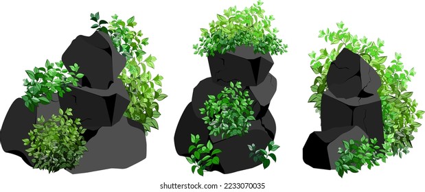 A set of black charcoal of various shapes and plants.Collection of pieces of coal, graphite, basalt and anthracite. The concept of mining and ore in a mine.Rock fragments and boulders.