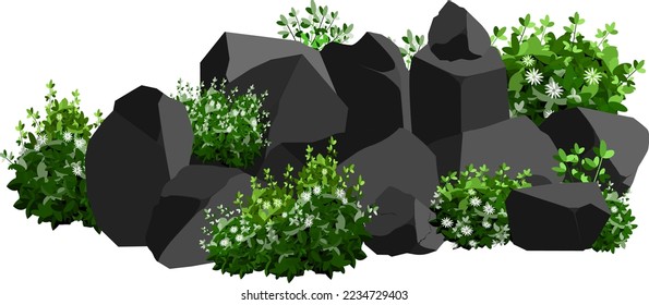 A set of black charcoal of various shapes and plants.Collection of pieces of coal, graphite, basalt and anthracite. The concept of mining and ore in a mine.Rock fragments and boulders.