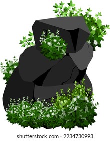 A set of black charcoal of various shapes and plants.Collection of pieces of coal, graphite, basalt and anthracite. The concept of mining and ore in a mine.Rock fragments,boulders.