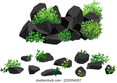 A set of black charcoal of various shapes and plants.Collection of pieces of coal, graphite, basalt and anthracite. The concept of mining and ore in a mine.Rock fragments and boulders.