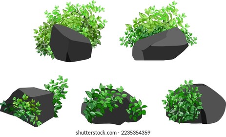 A set of black charcoal of various shapes and plants.Collection of pieces of coal, graphite, basalt and anthracite. The concept of mining and ore in a mine.Rock fragments and boulders.
