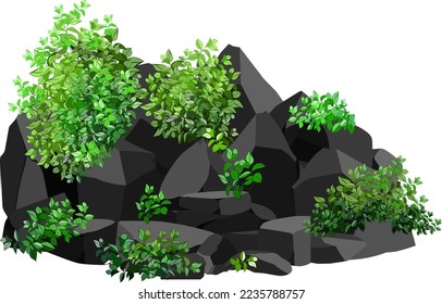 A set of black charcoal of various shapes and plant.Collection of pieces of coal, graphite, basalt and anthracite. The concept of mining and ore in a mine.Rock fragments and bouldersbuilding material.