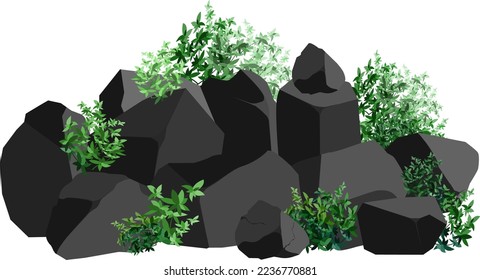 A set of black charcoal of various shapes and plants.Collection of pieces of coal, graphite, basalt and anthracite. The concept of mining and ore in a mine.Rock fragments and boulders.