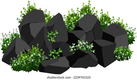 A set of black charcoal of various shapes and plants.Collection of pieces of coal, graphite, basalt and anthracite. The concept of mining and ore in a mine.Rock fragments,boulders.