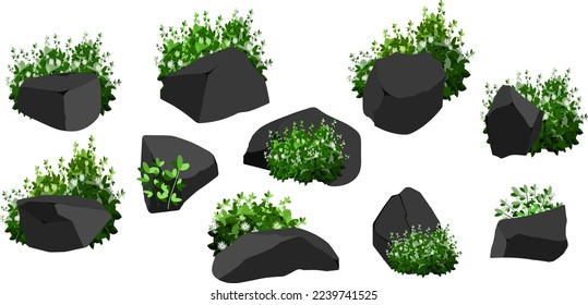 A set of black charcoal of various shapes and plants.Collection of pieces of coal, graphite, basalt and anthracite. The concept of mining and ore in a mine.Rock fragments,boulders.