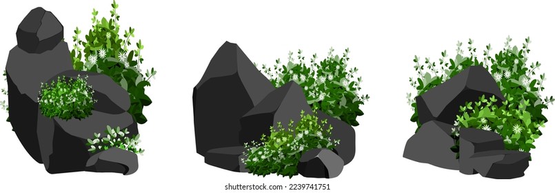 A set of black charcoal of various shapes and plants.Collection of pieces of coal, graphite, basalt and anthracite. The concept of mining and ore in a mine.Rock fragments,boulders.