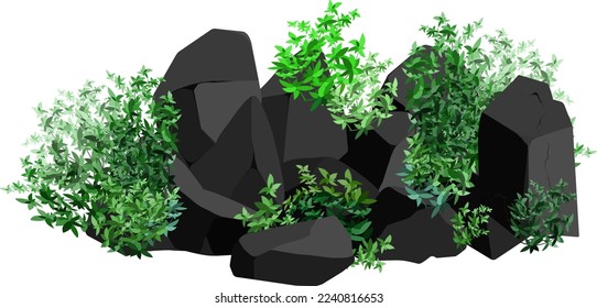 A set of black charcoal of various shapes and plants.Collection of pieces of coal, graphite, basalt and anthracite. The concept of mining and ore in a mine.Rock fragments and boulders.