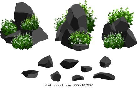 Un conjunto de carbón negro de varias formas y plantas. Colección de trozos de carbón, grafito, basalto y antracita. El concepto de minería y mineral en una mina. Fragmentos de roca, rocas.