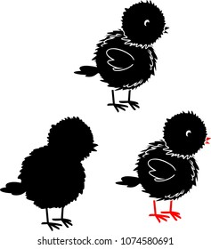 Set of black chick on white background