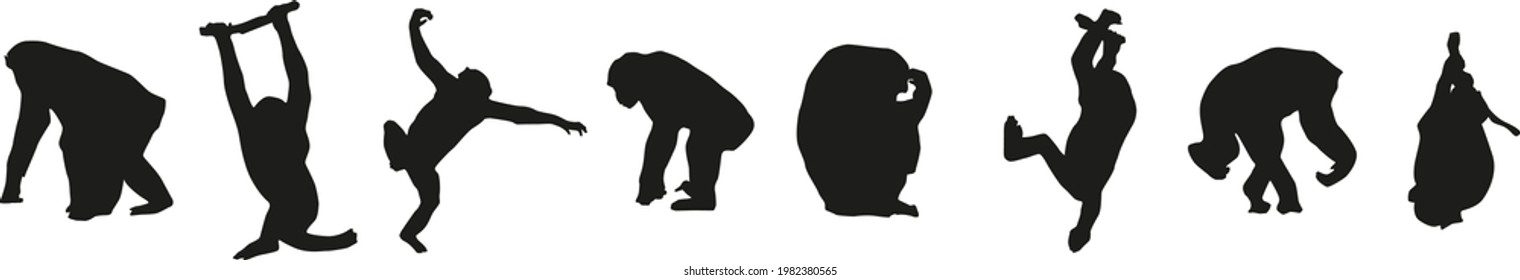set of black chimpanzee silhouettes