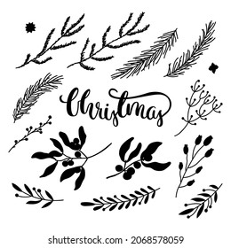Set of black Christmas decorations - pine branches, leaves, flowers, berries, mistletoe. Vector isolated on white background.