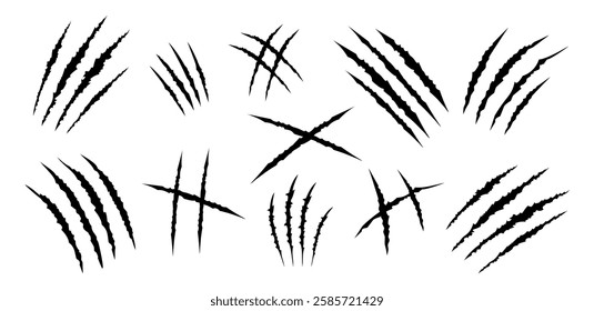 Set of black claws scratches animals. Four scratches shape. Wild animal claw marks. Funny design element. Vector illustration