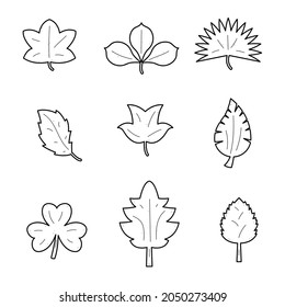 Set Black Collection Simple Line Plants Leaf Leaves Doodle Outline Nature Element Vector Design Style Sketch Isolated Illustration