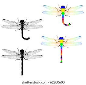 Set from black and color dragonflies