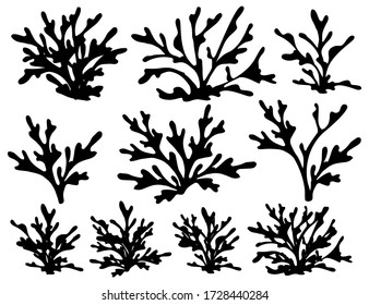 Set of black coral seaweeds silhouettes flat vector illustration isolated on white background