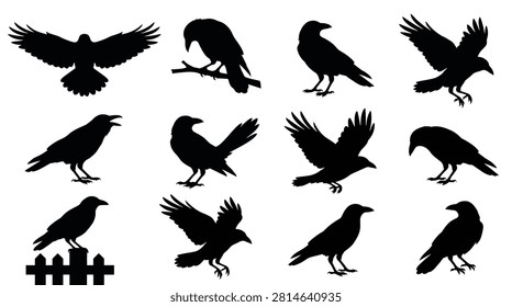Set of black crow silhouettes