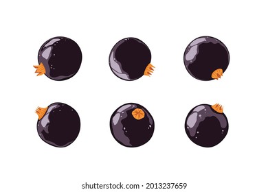 Set of Black currants isolated on white background.