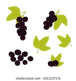 Set of black currants. Vector illustration.